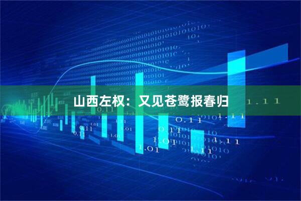 山西左权：又见苍鹭报春归